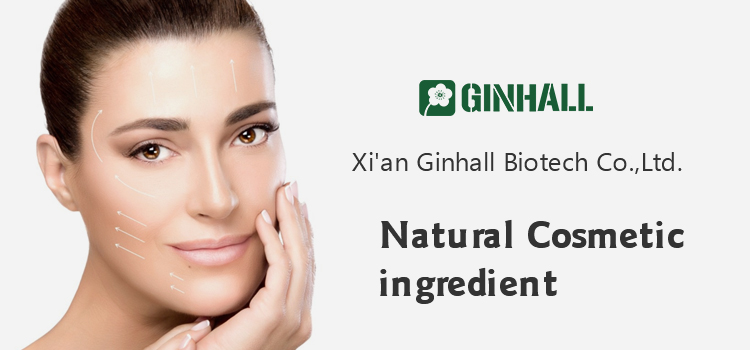 notoginseng extract 4